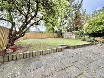 Picture 19